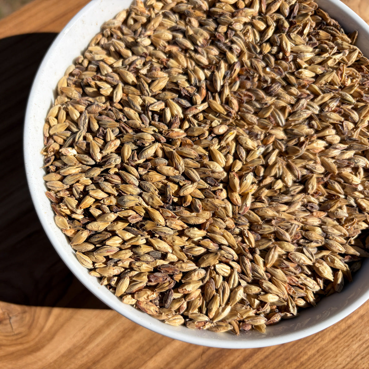 Red Malt