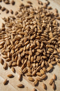 Melanoidin Malt