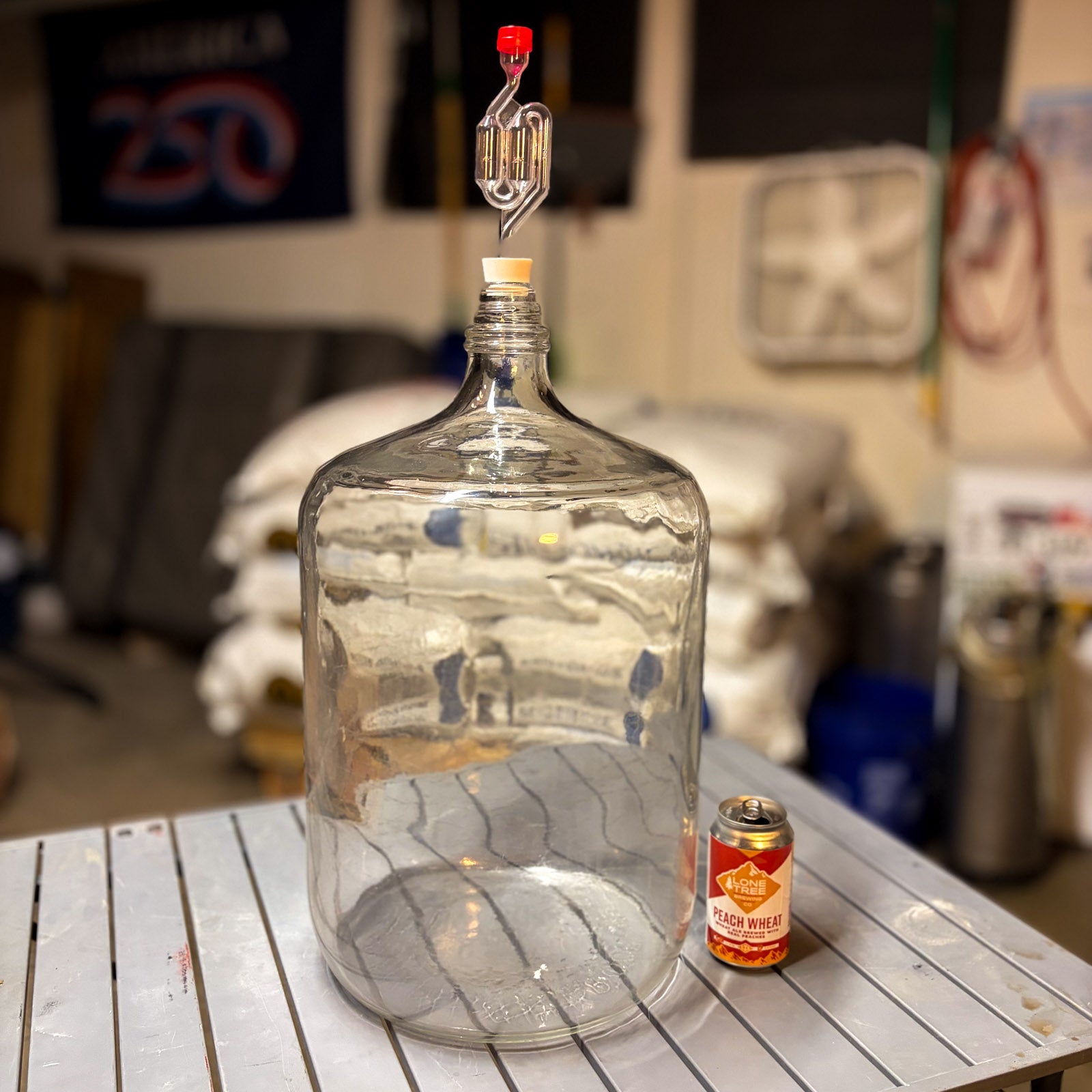 A glass carboy on a metal table with carboy stopper #7 and an s airlock installed