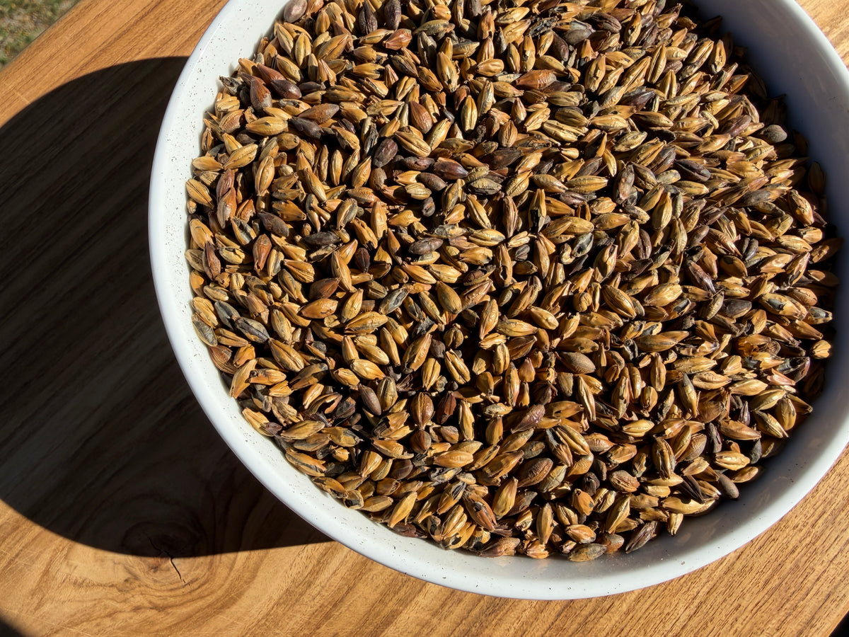 Brown Malt
