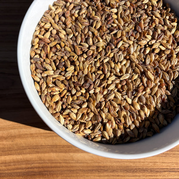 Dextrin Malt - Body Builder