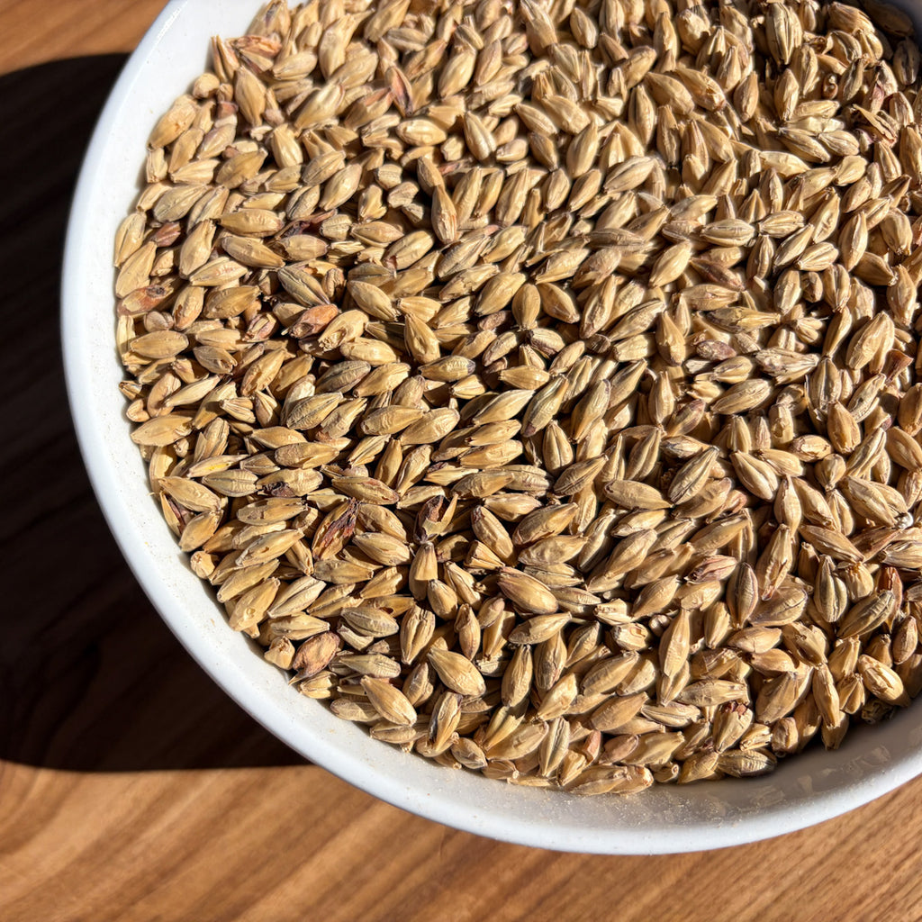 Munich Malt Type 2