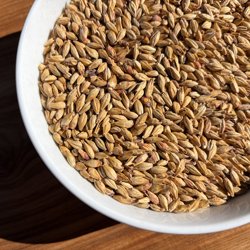 Melanoidin Malt