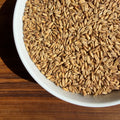 A bowl of Simpsons golden naked oats in the sun showing 8 degrees lovibond with a wooden background