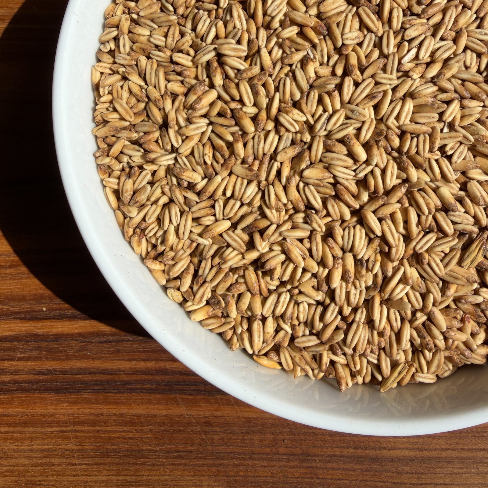 A bowl of Simpsons golden naked oats in the sun showing 8 degrees lovibond with a wooden background