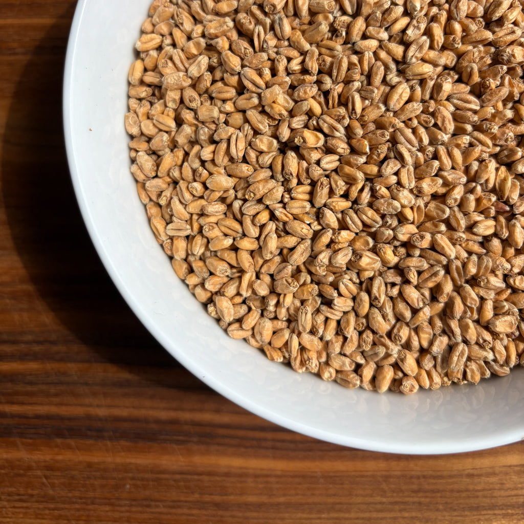A bowl of weyermann oak smoked wheat showing 5 degrees lovibond on a sunny day with a Wooden background