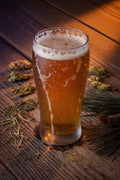 moody low light shot of a pint of pale ale with pine needles and hops on a wooden table with columbus ctz hops
