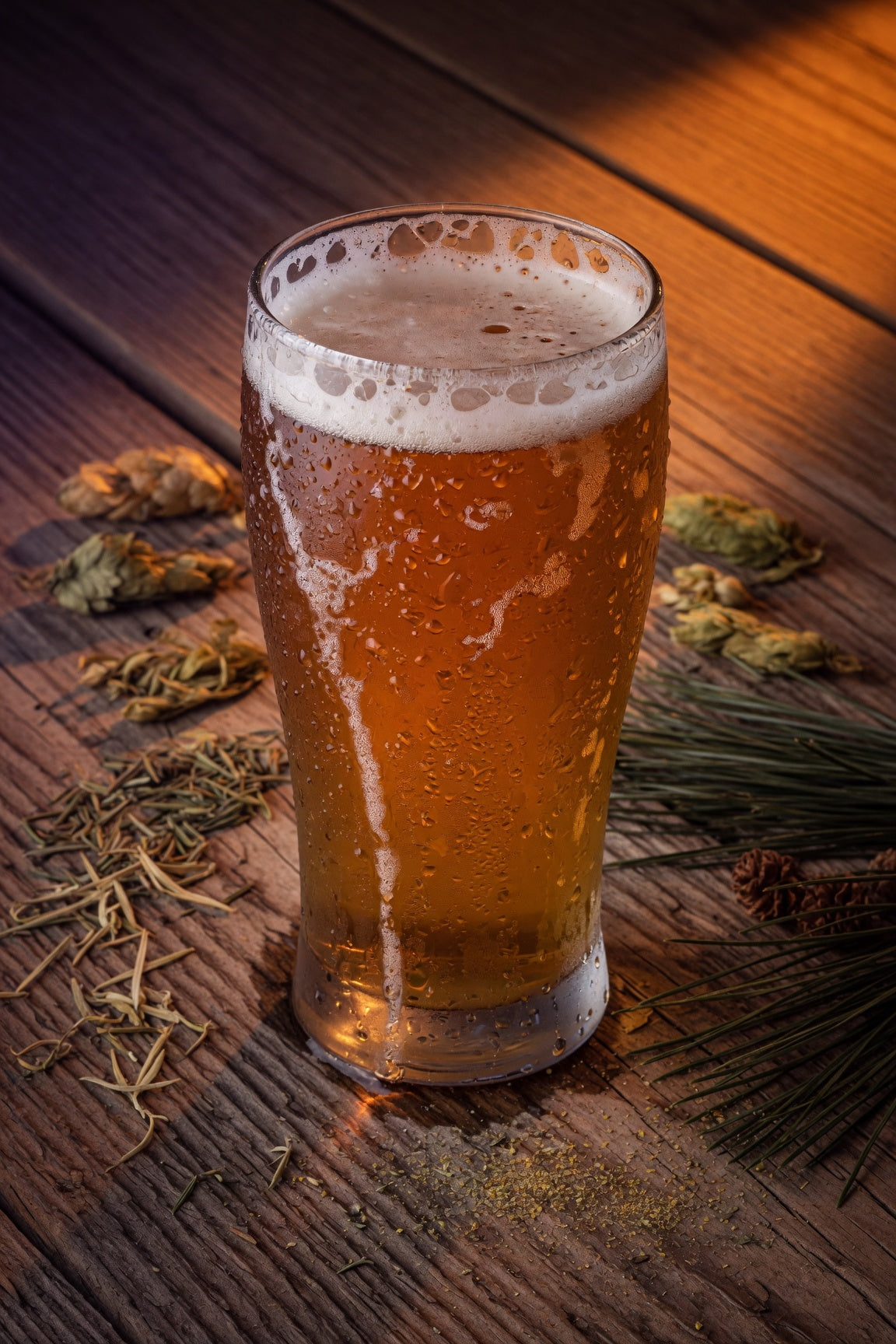 moody low light shot of a pint of pale ale with pine needles and hops on a wooden table with columbus ctz hops