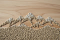 proximity base malt grain arranged in a mountain landscape on a wooden table