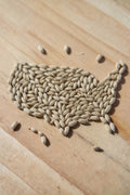 proximity pilsen base malt grain, 2 lovibond