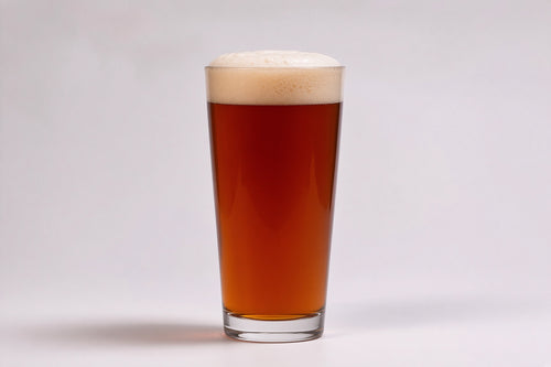 a shaker pint glass with amber color beer with a tan head made with proximity regenmalt biscuit malted barley