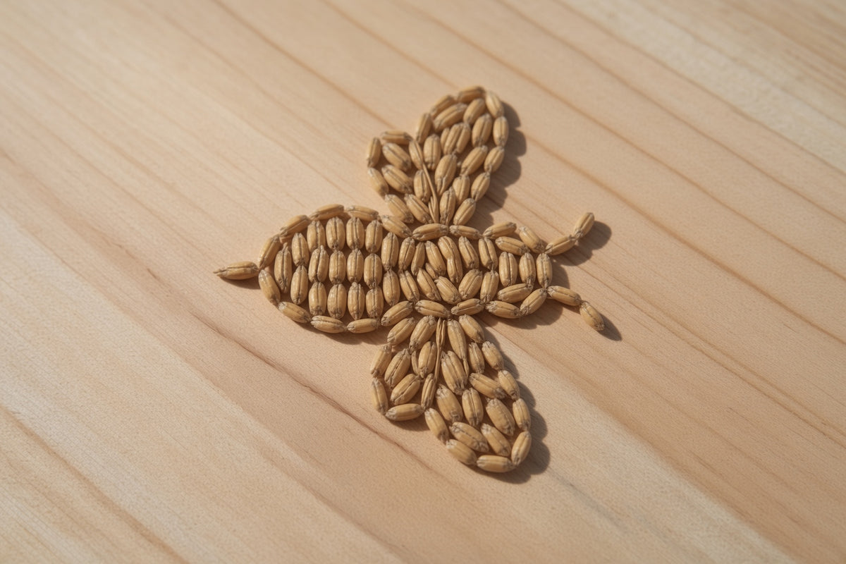 kernals of root shoot honey malted barley showing 20 lovibond color arranged in the shape of a bee on a wooden surface