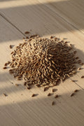 root shoot malted rye specialty malt grain, 2 lovibond