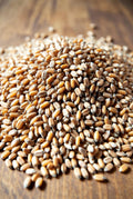 root shoot malted wheat base specialty grain, 2 lovibond