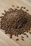 simpsons amber specialty malt grain, 24 lovibond
