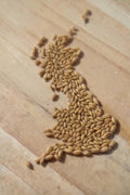 simpsons maris otter pale base malt grain, 2 lovibond