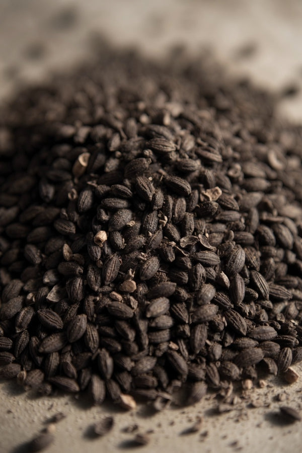weyermann carafa special type 1 roasted malt grain, 500 lovibond