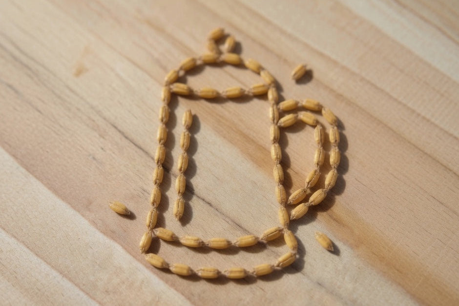 weyermann munich type 1 malted barley kernals arranged on a wooden surface in the shape of a german stein
